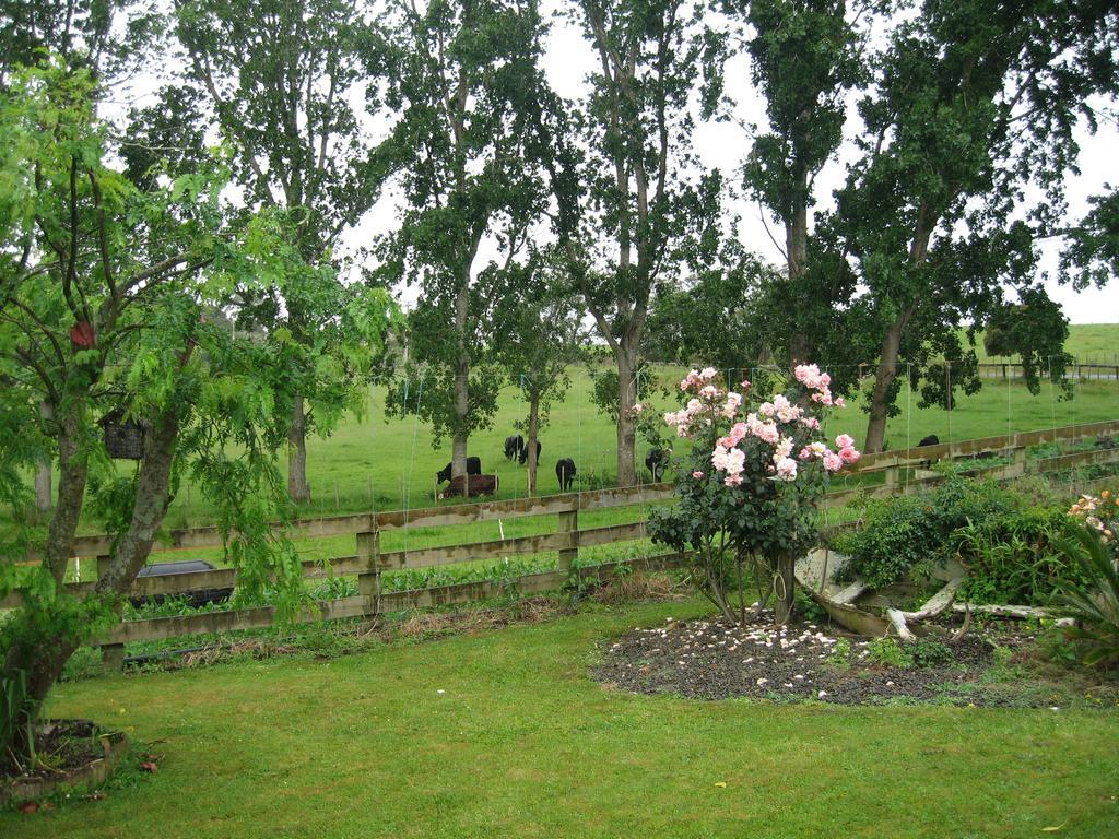 Miranda Orchard Cottage Zewnętrze zdjęcie