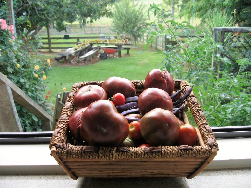 Miranda Orchard Cottage Zewnętrze zdjęcie